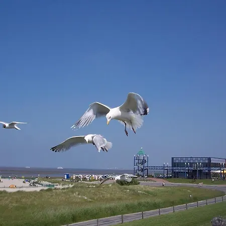 Lägenhet Seestern - A46854 Norddeich (Norden)